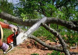 St James, MD Tree Services Company